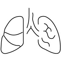 respiratory icon