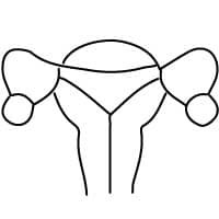 women's health icon